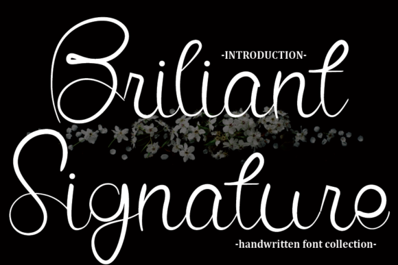 Briliant Signature Font for Creative Projects
