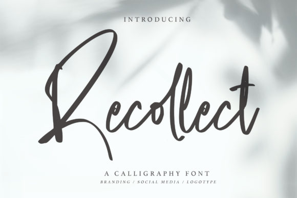 Recollect: A Flowing Script Font for Elegant Branding