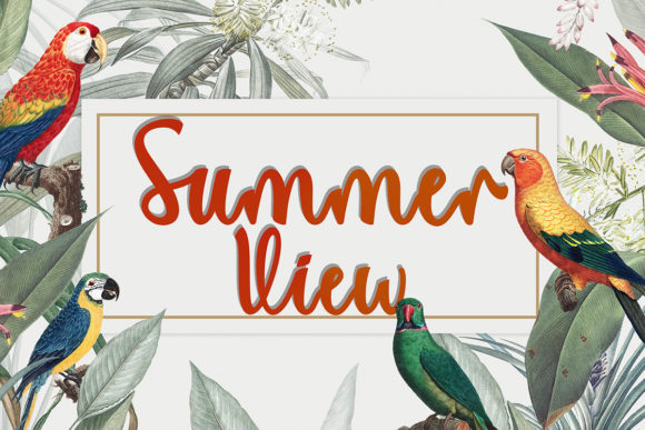 Summer View Font for Bold Campaigns